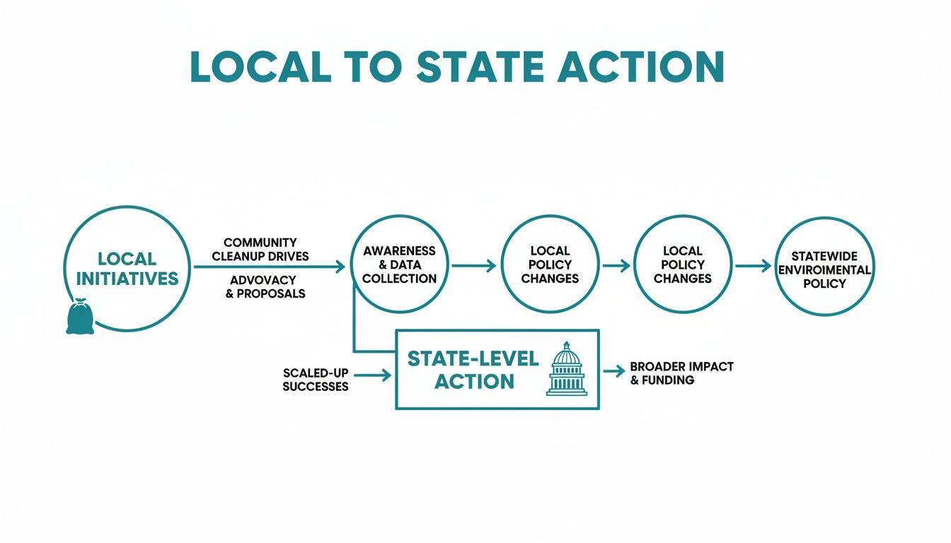 Diagram illustrating the progression from local environmental initiatives to statewide environmental policy through state-level action.
