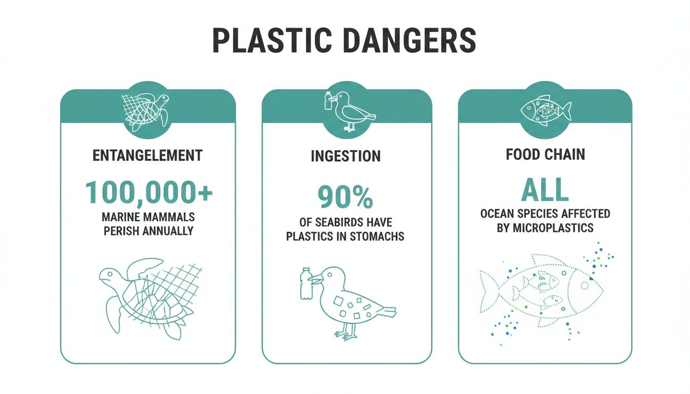 Infographic showing plastic dangers to marine life: entanglement, ingestion, and food chain contamination.