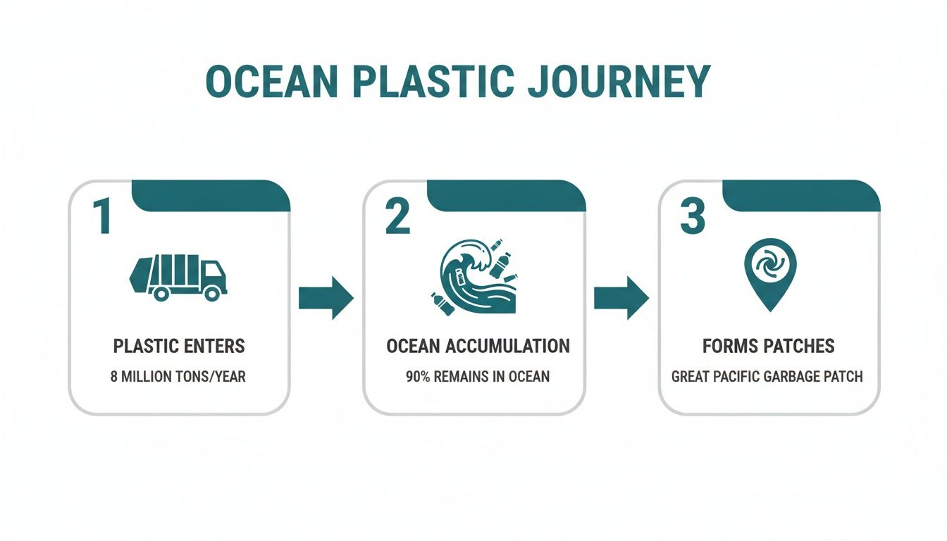 A three-step infographic illustrates the journey of plastic from entering oceans to forming large patches.