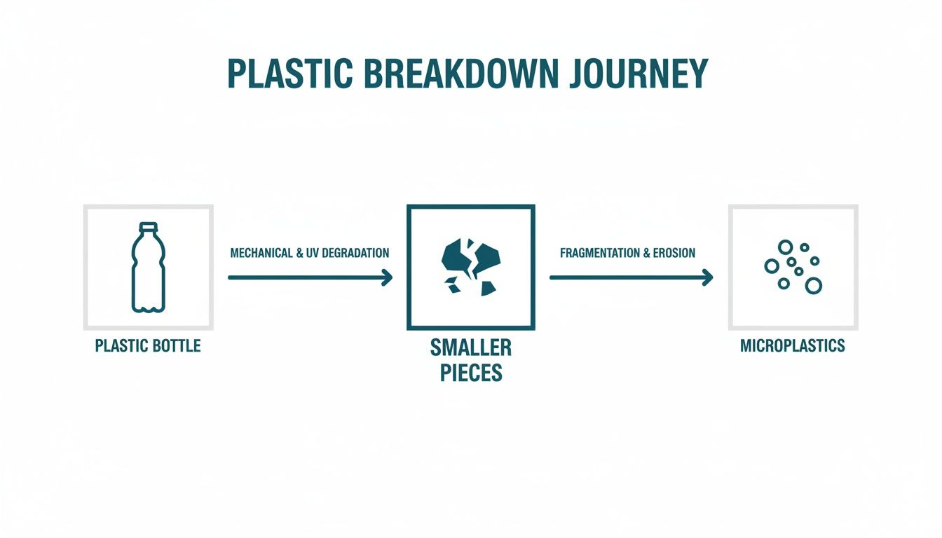 A diagram illustrating the breakdown journey of a plastic bottle into smaller pieces and microplastics.