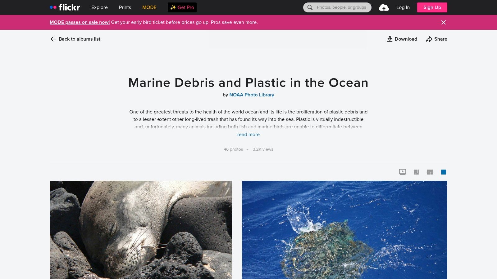 NOAA Photo Library – Marine Debris & Plastic (Flickr albums)