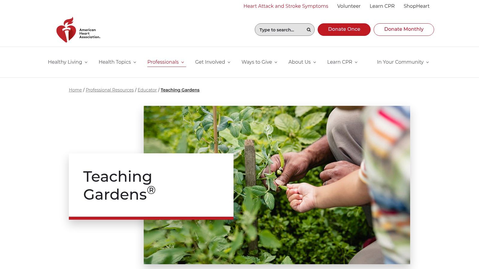 American Heart Association – Teaching Gardens / Teaching Gardens Network