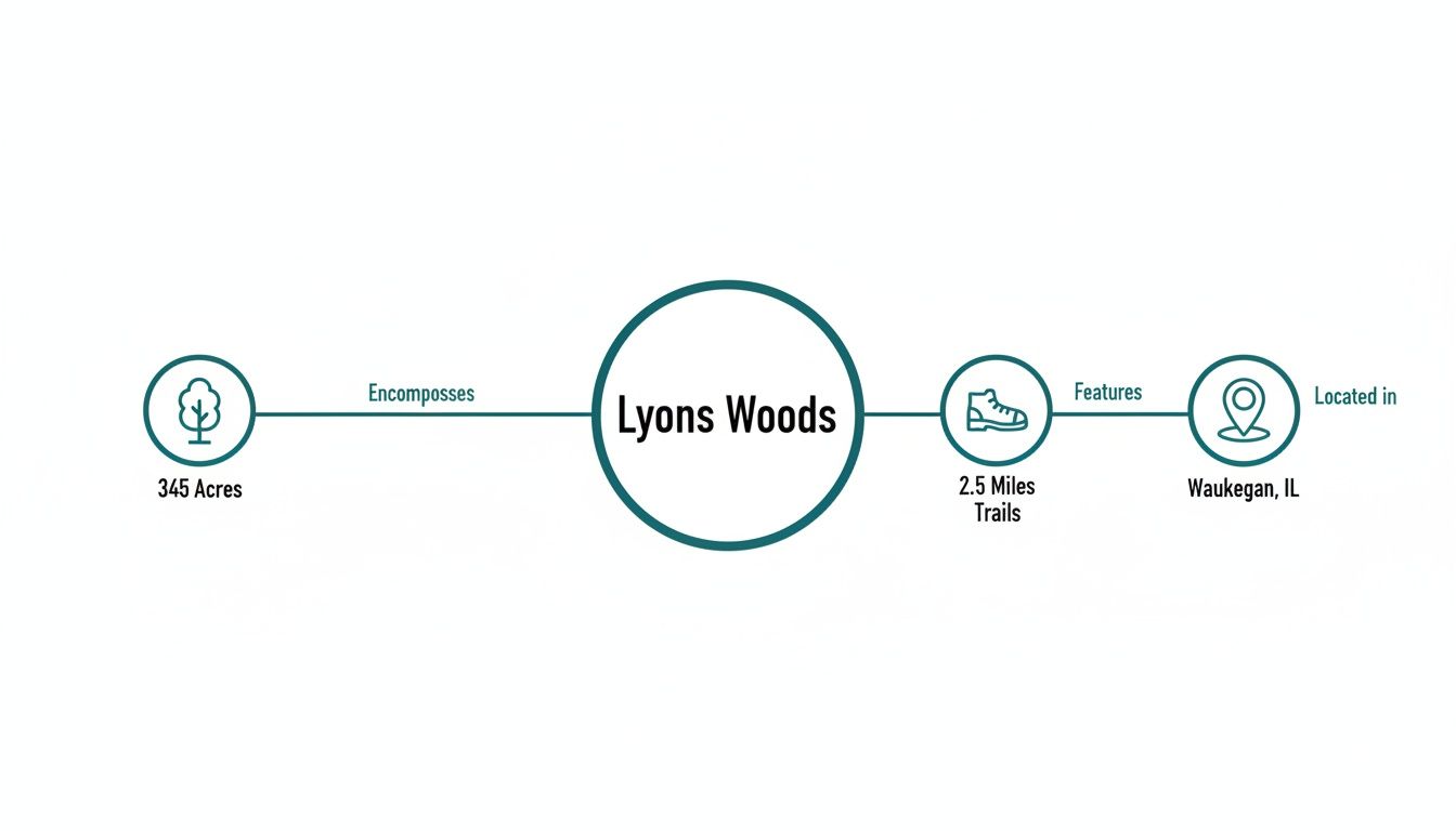 Infographic about Lyons Woods: 345 acres, 2.5 miles of trails, located in Waukegan, IL.