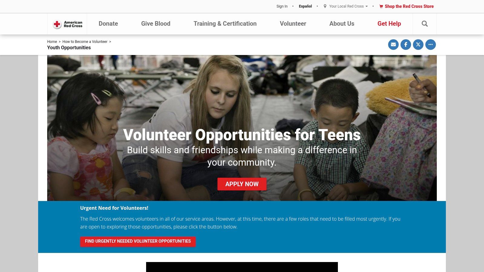 American Red Cross, Youth & Young Adult Volunteers