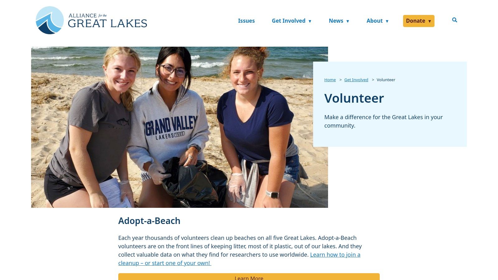 Alliance for the Great Lakes, Adopt‑a‑Beach