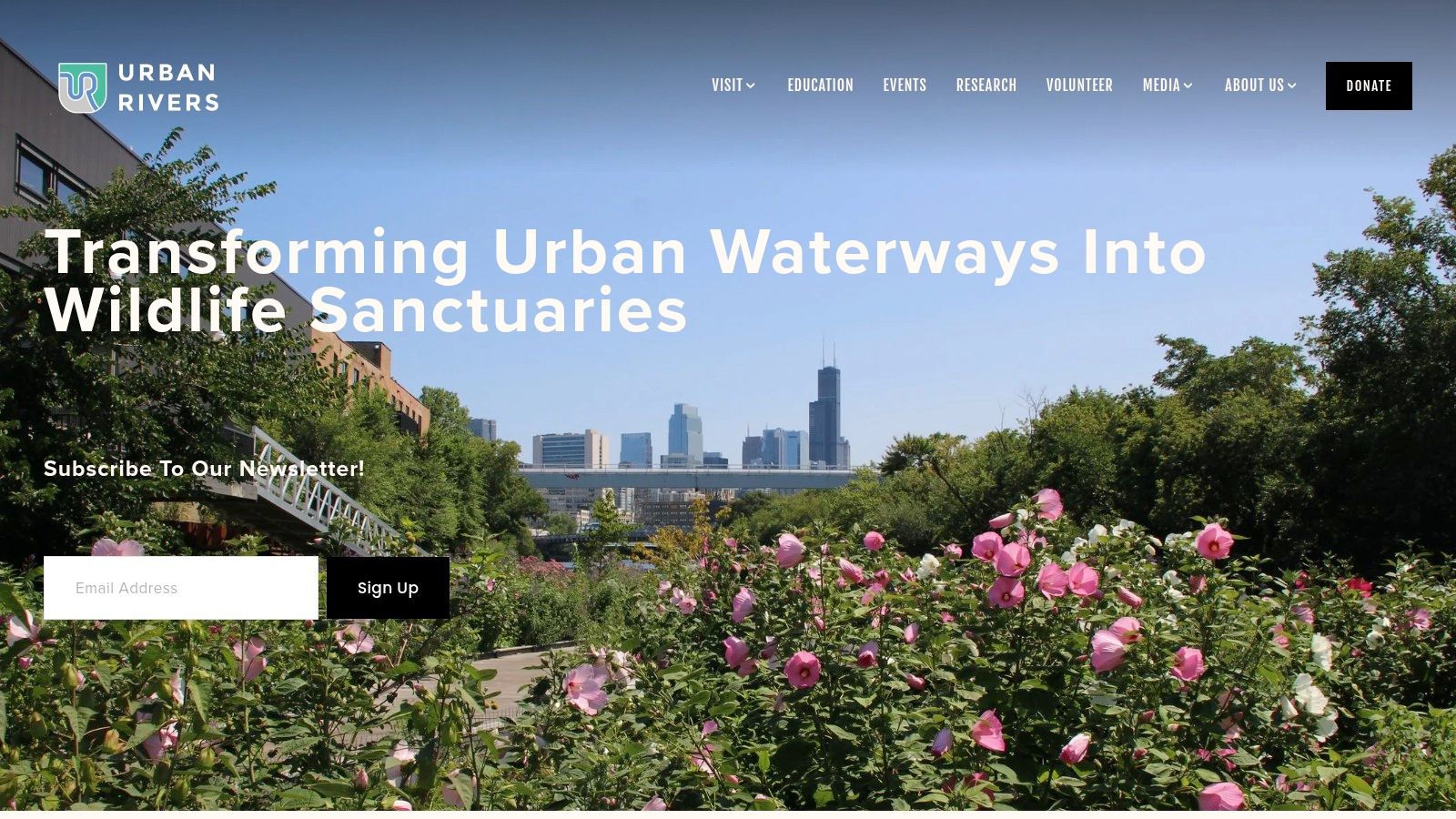 Urban Rivers (The Wild Mile)