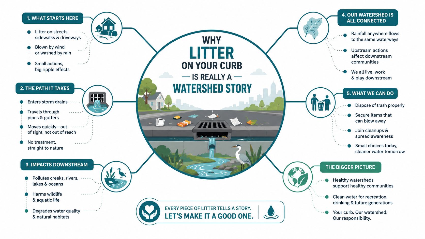 An educational infographic explaining how litter on streets travels through storm drains to impact local watersheds.