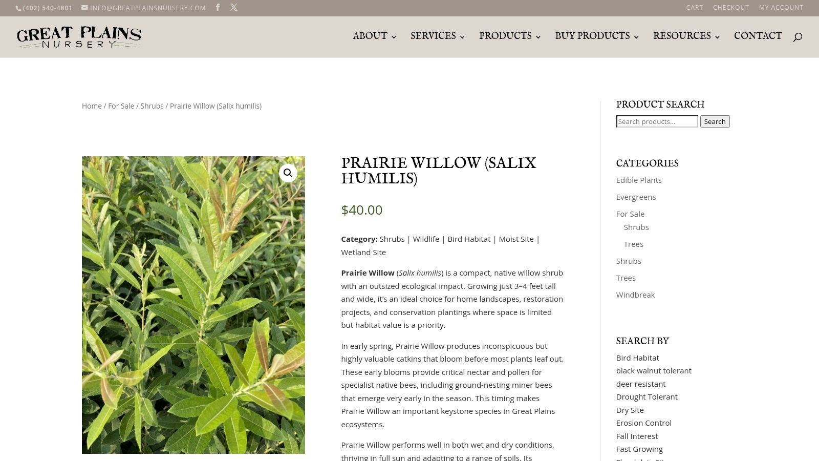 Prairie willow (Salix humilis)